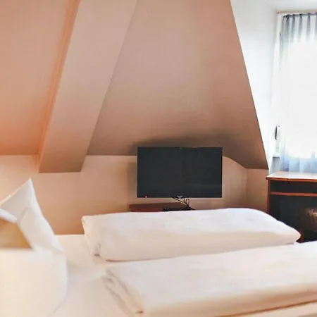 Löwen-seckenheim 3* Mannheim