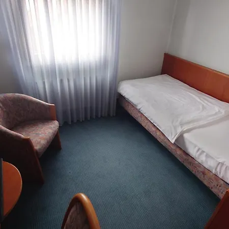 Löwen-seckenheim Hotel 3*