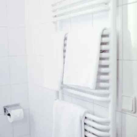 Loewen-seckenheim Otel 3*