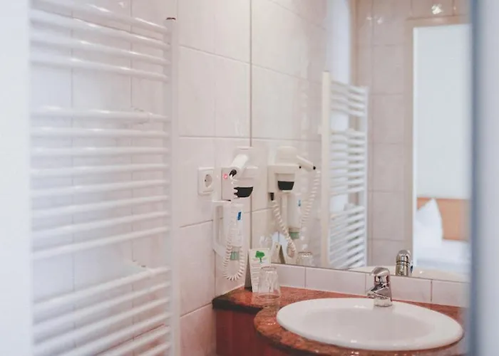 Loewen-seckenheim Отель 3*