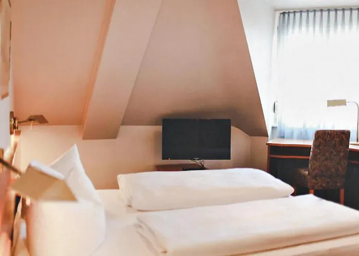 Loewen-seckenheim 3* Мангейм