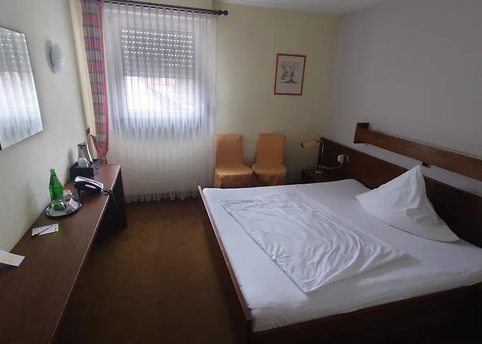 Loewen-seckenheim Отель Мангейм