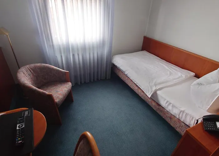 Loewen-seckenheim Отель 3*