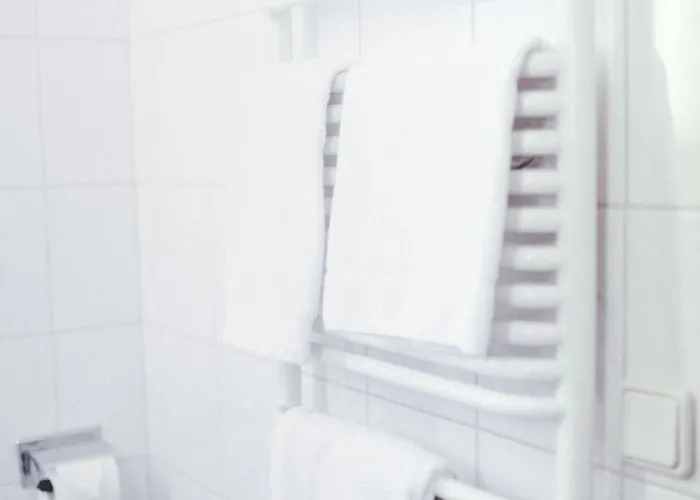 Loewen-seckenheim Hotell 3*