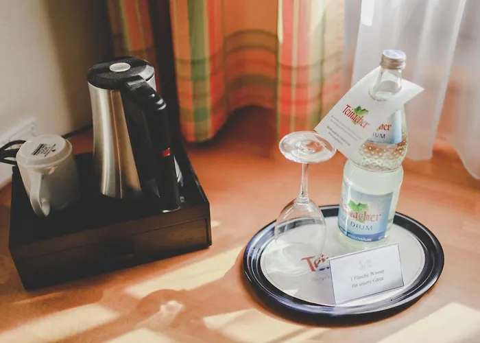 Отель Loewen-seckenheim